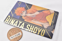 Haikyuu!! Wafer [32.Shoyo Hinata]