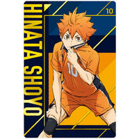 Haikyuu!! Wafer [32.Shoyo Hinata]
