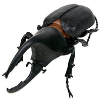 Konchu no Mori Hakken! Phantom Satanas beetle [1.Satanas beetle (black)]