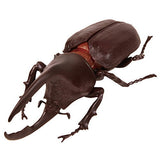 Konchu no Mori Hakken! Phantom Satanas beetle [2.Satanas beetle (brown)]