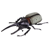 Konchu no Mori Hakken! Phantom Satanas beetle [4.Hercules beetle (light brown white)]