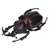 Konchu no Mori Hakken! Phantom Satanas beetle [5.Beetle (black)]