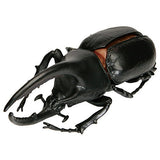 Konchu no Mori Hakken! Phantom Satanas beetle [7.Neptun Okabuto (black)]