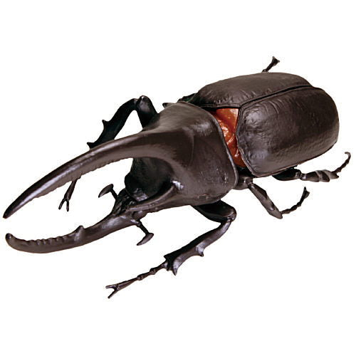 Konchu no Mori Hakken! Phantom Satanas beetle [8.Neptun Okabuto (brown)]