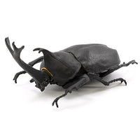 Konchuu Hunter Rhinoceros Beetle x Stag Beetle 2022 [1.Beetle (black)]