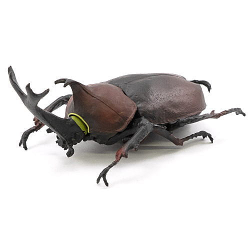 Konchuu Hunter Rhinoceros Beetle x Stag Beetle 2022 [2.Beetle (red)]