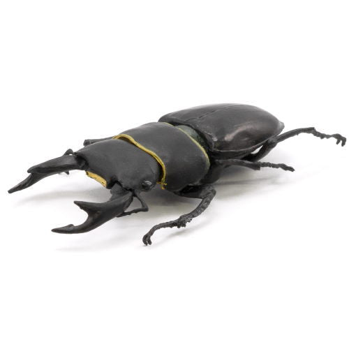 Konchuu Hunter Rhinoceros Beetle x Stag Beetle 2022 [3.Giant stag beetle]