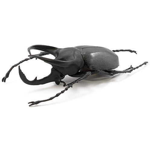 Konchuu Hunter Rhinoceros Beetle x Stag Beetle 2022 [4.Caucasus beetle]