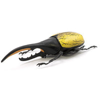 Konchuu Hunter Rhinoceros Beetle x Stag Beetle 2022 [5.Hercules beetle]