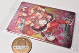 Fate / Grand Order Wafer Part.11 [24.CR: Berserker / Tamamo Cat]