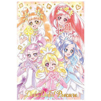 PreCure card wafer 6 [22.Doki Doki! Pretty Cure (SSR)]