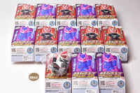 Kamen Rider Kids Geats Toujou!! [All 13 type set(Full Complete)]