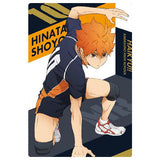 Haikyuu!! Wafer 2 [1.Shoyo Hinata (Character Card(1))]