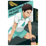 Haikyuu!! Wafer 2 [6.Hajime Iwaizumi (Character Card(1))]