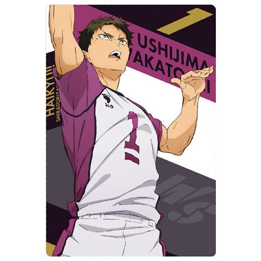 Haikyuu!! Wafer 2 [11.Wakatoshi Ushijima (Character Card(1))]