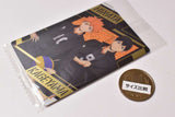 Haikyuu!! Wafer 2 [28.Shoyo Hinata & Tobio Kageyama (SP Card) (Foil stamping specification)]