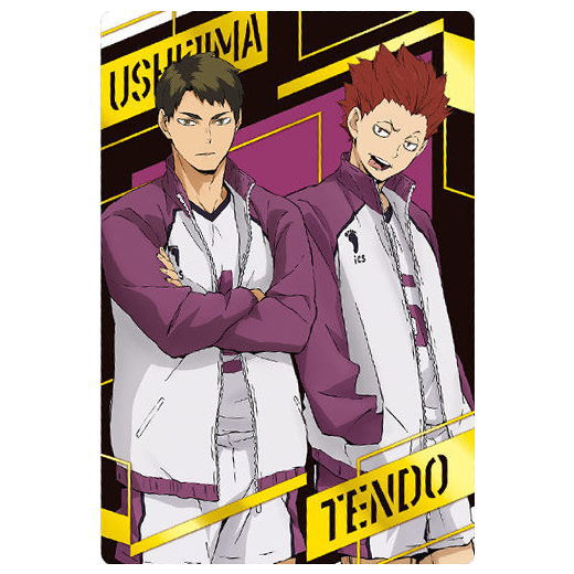 Haikyuu!! Wafer 2 [33.Wakatoshi Ushijima & Satori Tendo (SP Card) (Foil stamping specification)]