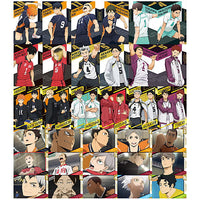 Haikyuu!! Wafer 2 [All 33 type set(Full Complete)]