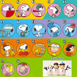 Choco-egg PEANUTS [All 18 type set(Full Complete)]