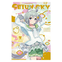 Umamusume Pretty Derby Twin Wafer 3rd R [2.Seiun Sky: (match clothes)(hologram & foil stamped ver.)]