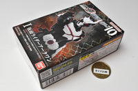 SHODO-O Kamen Rider 10 [1.Kamen Rider Ark-One]