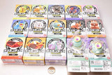 Pokemon Kids Journey Friends Edition [All 15 type set(Full Complete)]