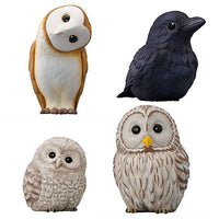 Tenori Friends Part.7 [Assorted 4 type set (1.Yezo owl chick/2.Yezo owl parent/3.Barn Owl/4.Crow)]