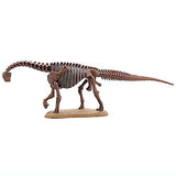 Dinosaur Master Part.3 [2.Camarasaurus skeleton (fossil color)]