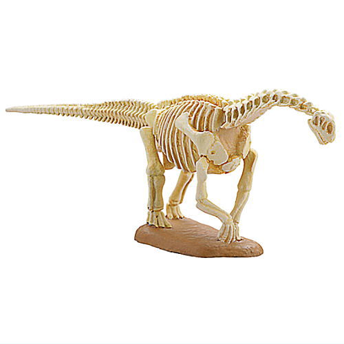 Dinosaur Master Part.3 [3.Camarasaurus skeleton]