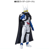 SHODO-O Kamen Rider Part.11 [1.Kamen Rider Eternal]