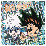 Niforamtion HUNTER x HUNTER Seal x Wafer Vol. 3 [26.Gon & Killua (double hunter rare) (double foil stamping)]