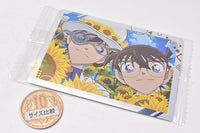 Itajaga Detective Conan [21.Conan Edogawa & Phantom Thief Kid (Visual Card) (Rare) (metallic embossed)]
