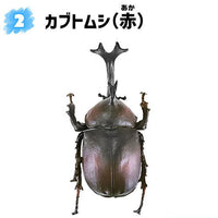 Konchuu Hunter Rhinoceros Beetle x Stag Beetle 2023 [2.Rhinoceros beetle (red)]