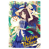 Umamusume Pretty Derby Twin Wafer 5th R [2.Mejiro Dober: character card(matching clothes)(Hologram & stamping)]