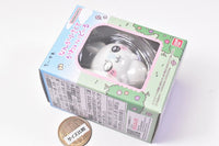 Chiikawa nanka shiisakute kawaii doll [4.Momonga]