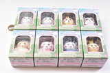 Chiikawa nanka shiisakute kawaii doll [All 8 type set(Full Complete)]