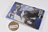 TV Anime My Hero Academia Wafer Part.2 [7.Tamaki Amajiki (Character Card)]
