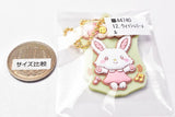 Sanrio Characters Pukkuri Rubber Mascot Gummy Part.4 [12.Wish me mell]