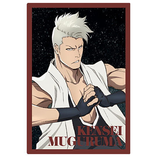 BLEACH wafer Part.2 [23.Kensei Muguruma (Visual card)]