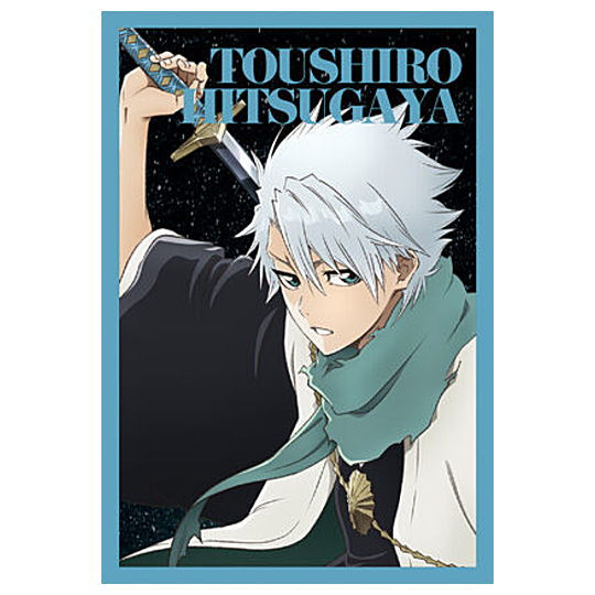 BLEACH wafer Part.2 [24.T?shir? Hitsugaya (Visual card)]