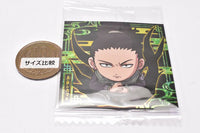Niforamtion NARUTO Shippuden Ninkai Seal Wafer [4.Shikamaru Nara (Super rare)]