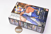SHODO-XX DOUBLE CROSS Kamen Rider Part.5 [1.Kamen Rider Gaim Orange Arms]