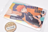 Haikyuu!! Wafer Part.4 [1.Shoyo Hinata (Character Card)]