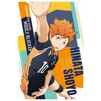 Haikyuu!! Wafer Part.4 [1.Shoyo Hinata (Character Card)]