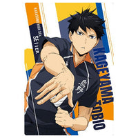 Haikyuu!! Wafer Part.4 [2.Tobio Kageyama (Character Card)]