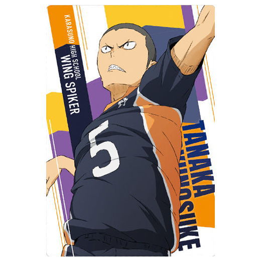 Haikyuu!! Wafer Part.4 [6.Ryunosuke Tanaka (Character Card)]