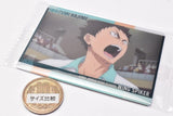 Haikyuu!! Wafer Part.4 [12.Hajime Iwaizumi (Character Card)]