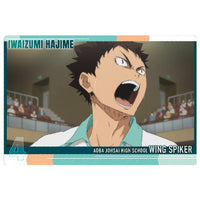 Haikyuu!! Wafer Part.4 [12.Hajime Iwaizumi (Character Card)]