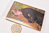 RIZIN wafer [23.Ren Hiramoto (rare card) (rainbow holo foil stamping)]