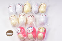 Coo'nuts Chiikawa Part.2 [Assorted 12 type set (1,2,3,4,5,6,7,8,12,14,15,16)]